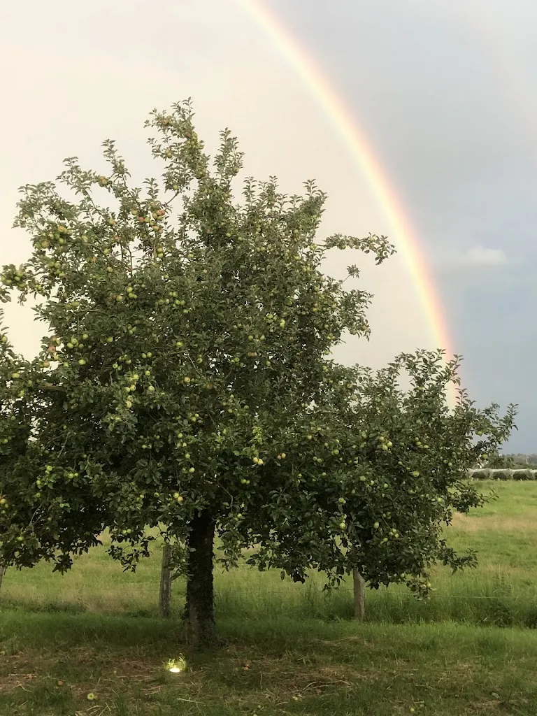 Vorgebirgsblick_Bornheim_slider_image_3
