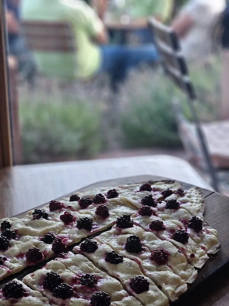 Sophia Hillebrand_Redestein_Bornheim_recensione