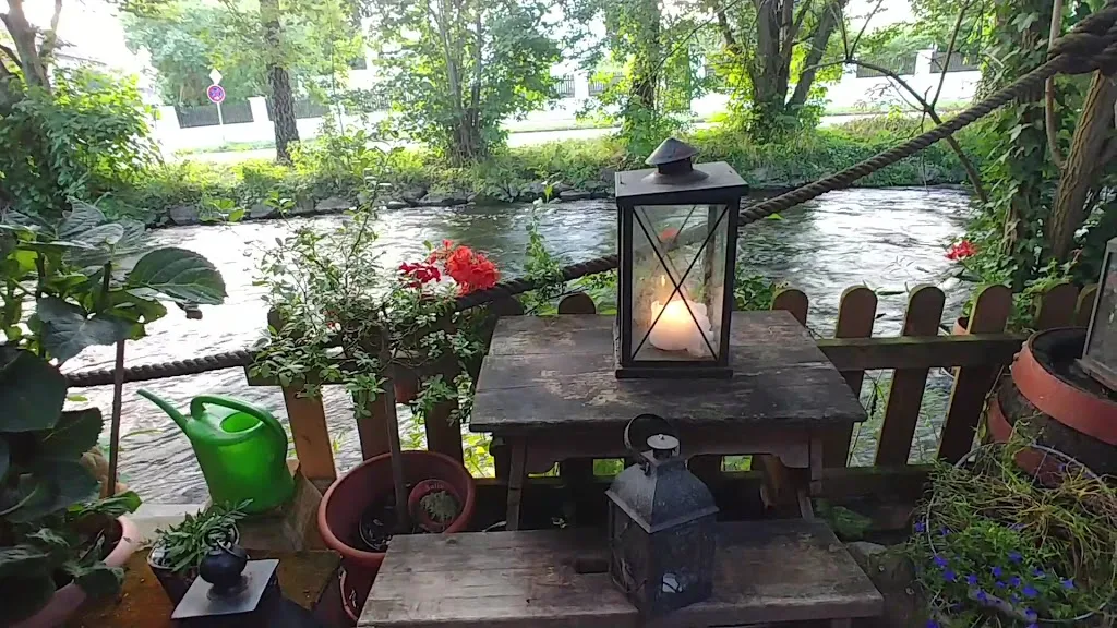 Wilder Hirsch_Gräfelfing_slider_image_2