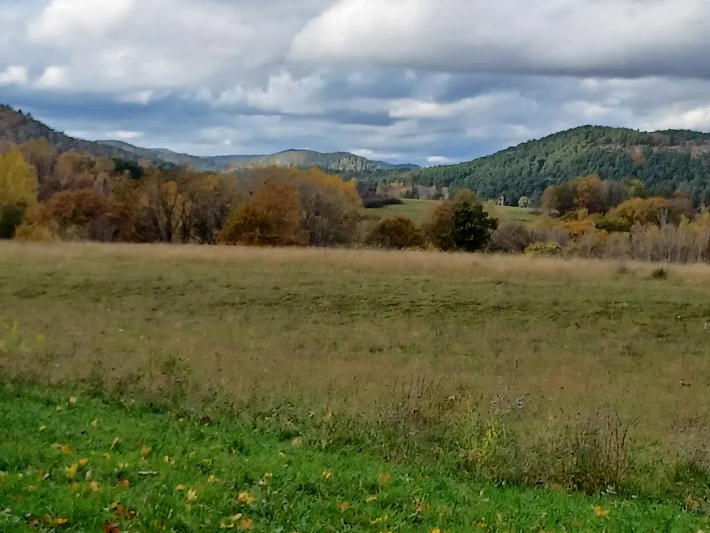 Landgasthof Weißensteiner Hof_Busenberg_slider_image_3