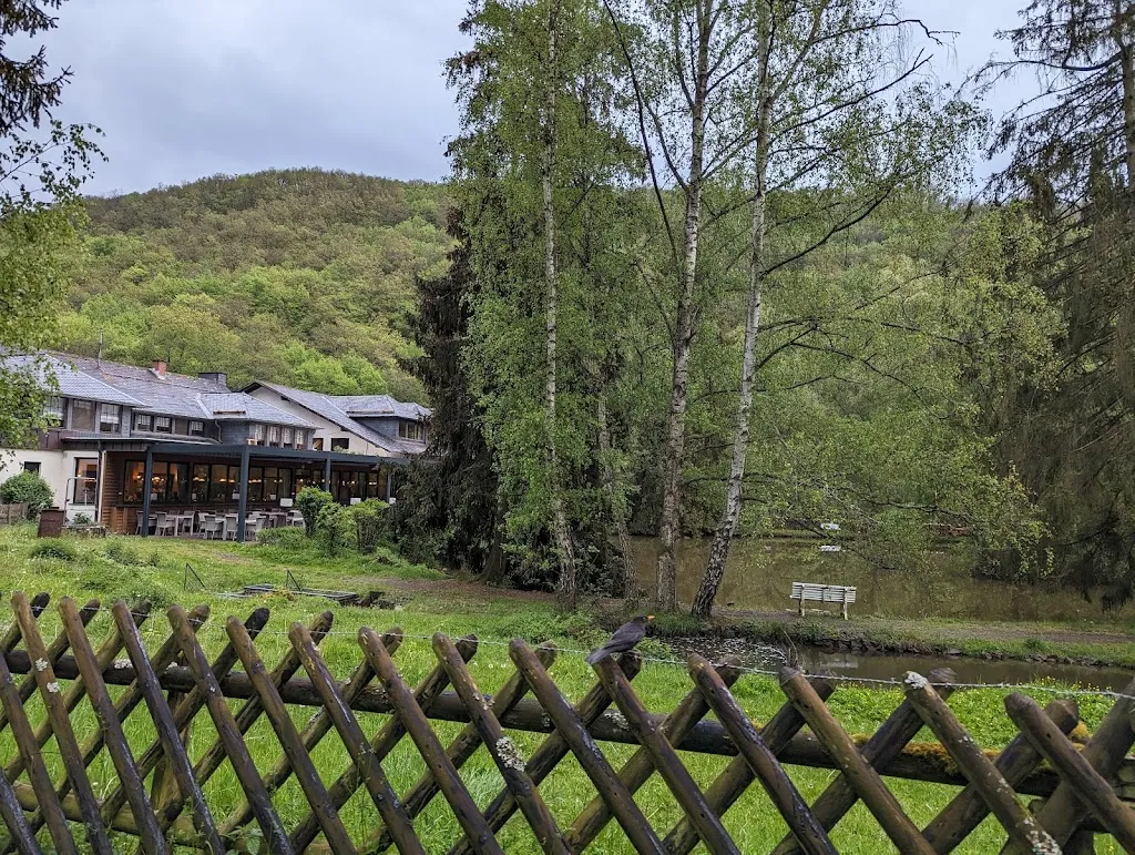 Matt Wilkes_Hotel Forellenhof_Bundenbach_review