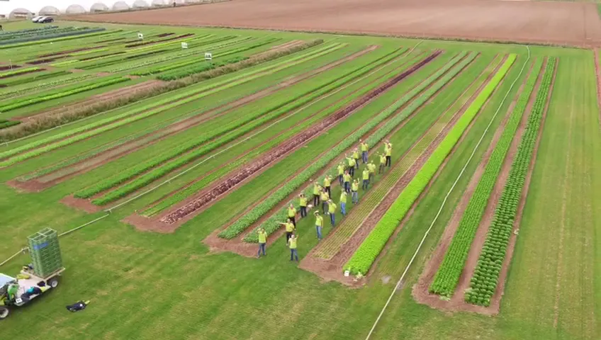 Ristorante Da Lillo & Nicola_Dannstadt-Schauernheim_slider_image_2