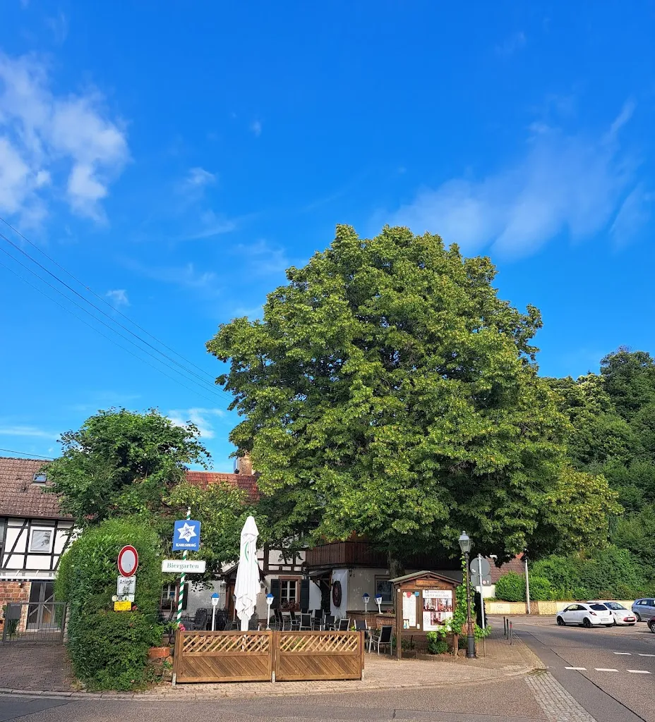 Brigitte Marie Millitzer_Weinstube unter der Linde_Dörrenbach_review