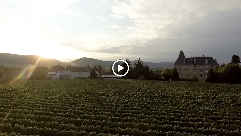 Hotel Schloss Edesheim_Edesheim_slider_image_2