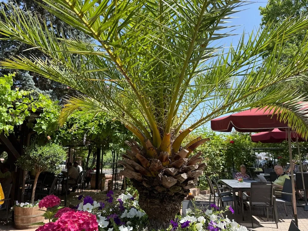 J P_Brunnenterrasse_Edesheim_review