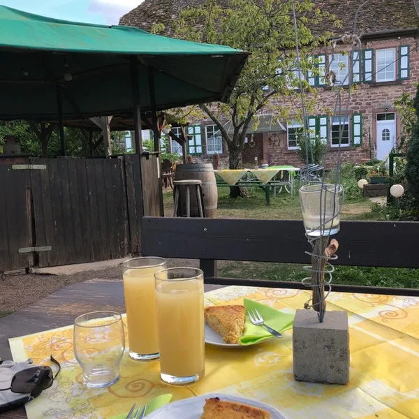 Frank Hübner_Weingut Erlenmühle_Edesheim_reseña