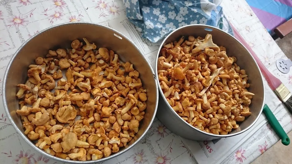 Menu_Hotel und Restaurant Friedrichs Tanneck_Eisenberg_image_3