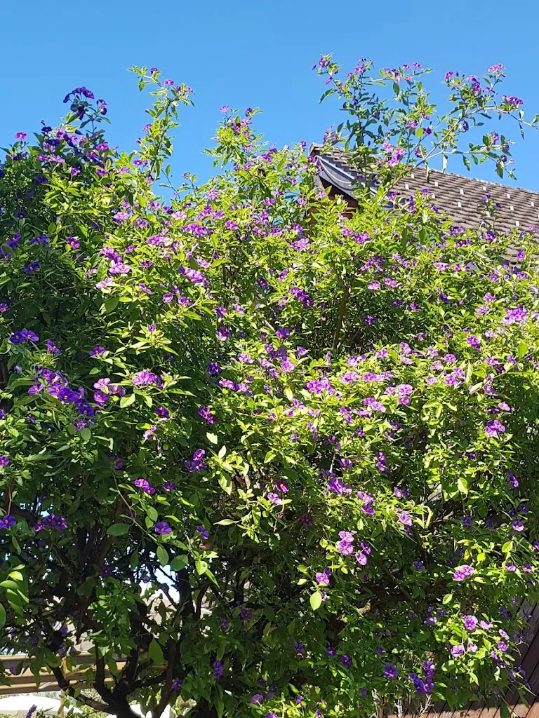 Parkplatz Restaurant Erpel am Türlersee_Albis_slider_image_2