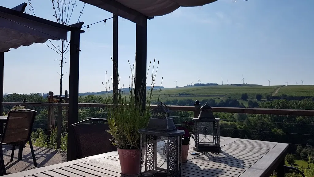 Donovan Sampson-Riggs_Trautwein - Das Winzerhotel am La Roche_Flonheim_review