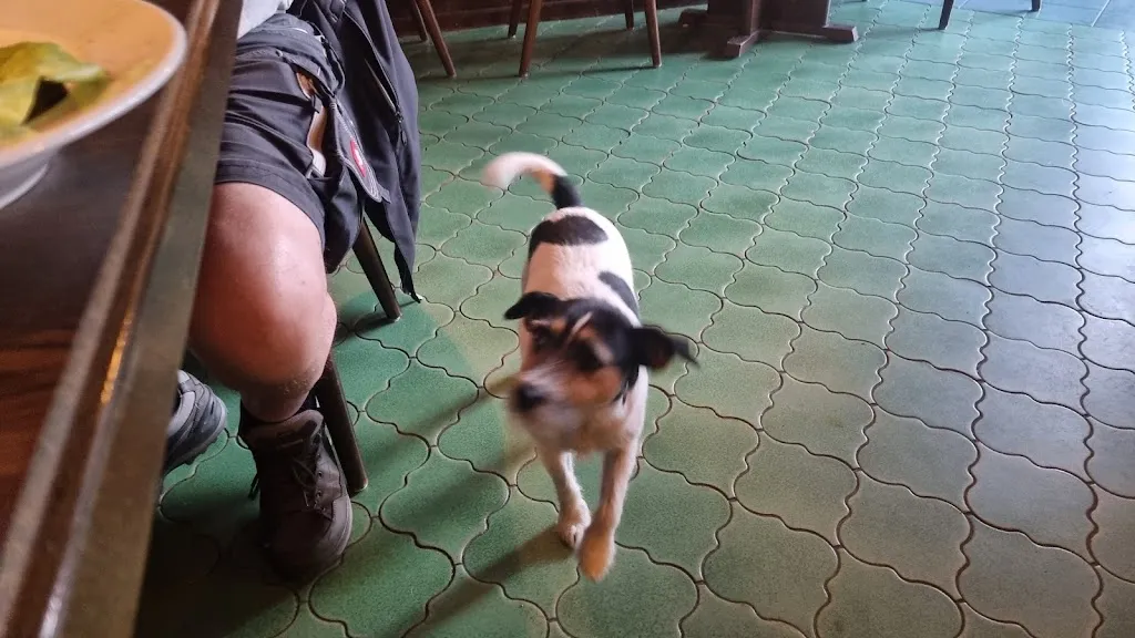 Bernhard Rieth_Krone_Framersheim_review