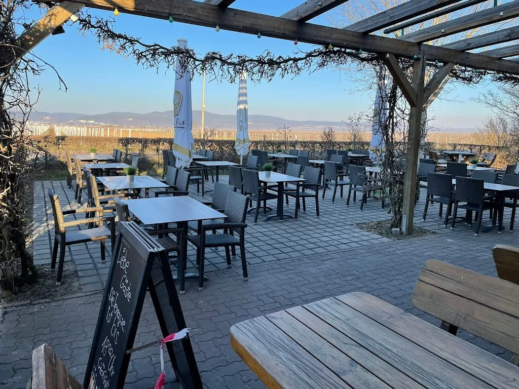 HAARDTBLICK restaurant in Friedelsheim