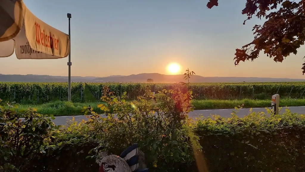 HAARDTBLICK_Friedelsheim_slider_image_3