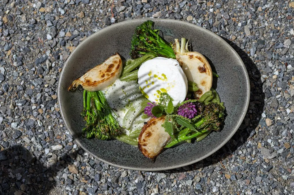 Pinus_Friedrichshafen_slider_image_2