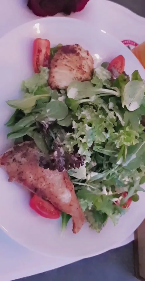 Kommodore_Friedrichshafen_slider_image_2