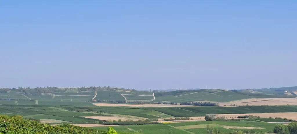 oswin mueller_Wein & wunderBar im Weingut Marco Pfennig_Gau-Bickelheim_review