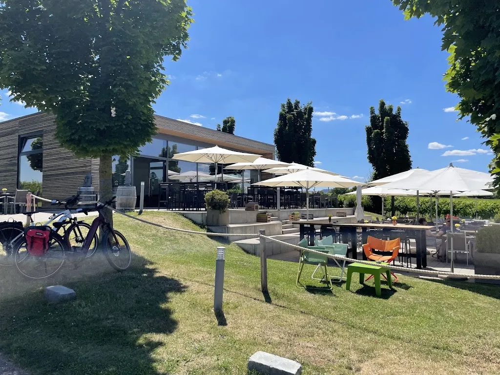 Weingut / Weinbar A&G Dietrich GbR_Großkarlbach_slider_image_3