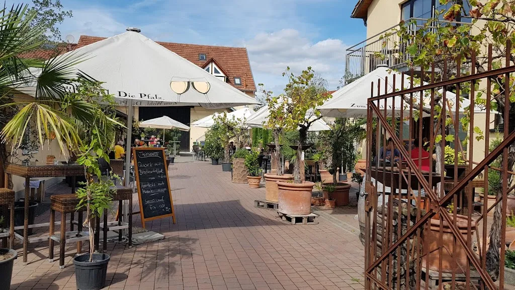 Wine shop Sektkellerei Schreier and Kohn_Großkarlbach_slider_image_3