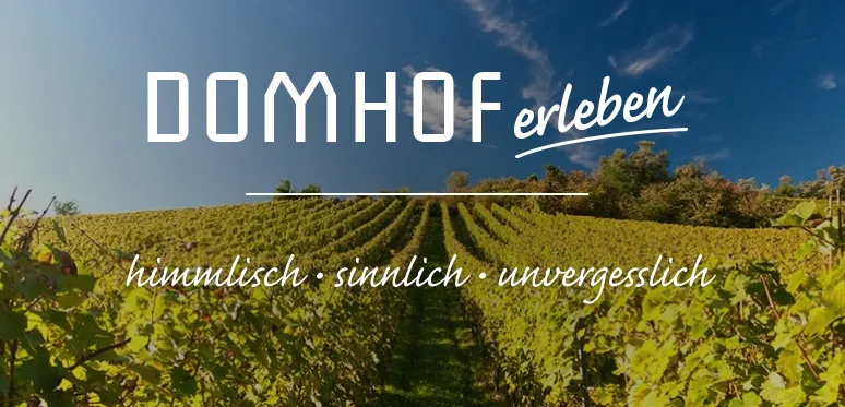 WEINGUT Domhof & SCHLAFGUT Domhof_Guntersblum_slider_image_1