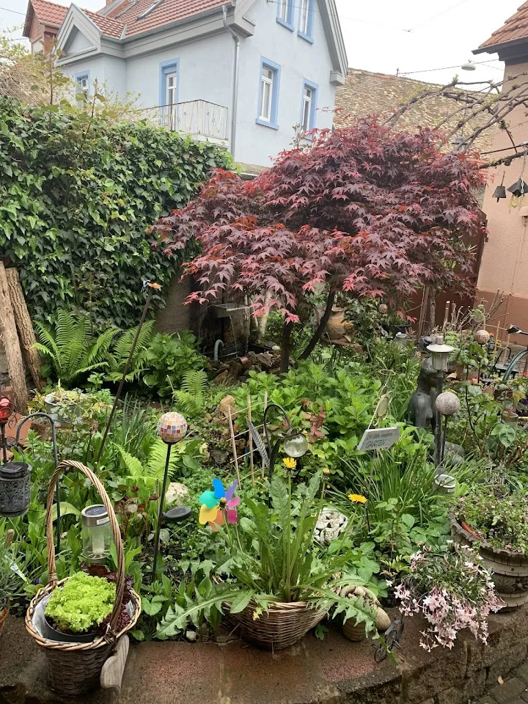 Pension Zur Schlummerstube ristorante a Guntersblum