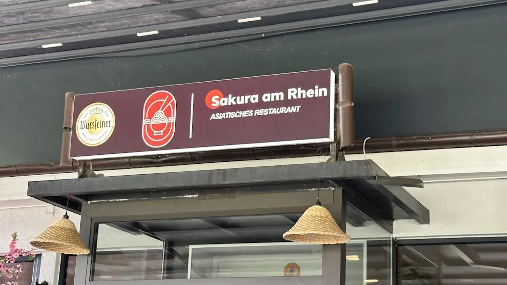 Sakura am Rhein_Rhein_slider_image_1