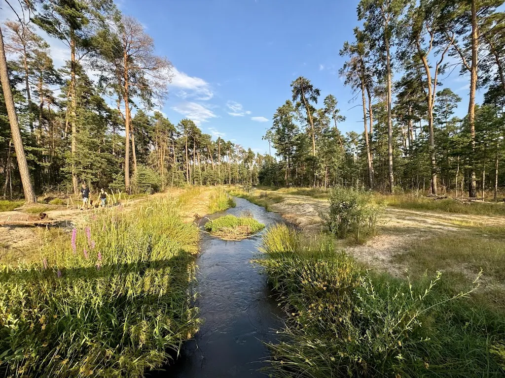 Menny_Restaurant und Pension Hubertushof_Haßloch_review