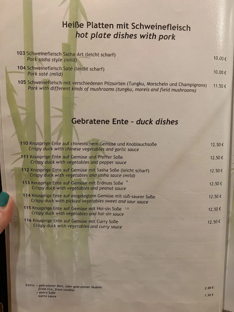 Menu_Asia Restaurant_Landstuhl_image_4