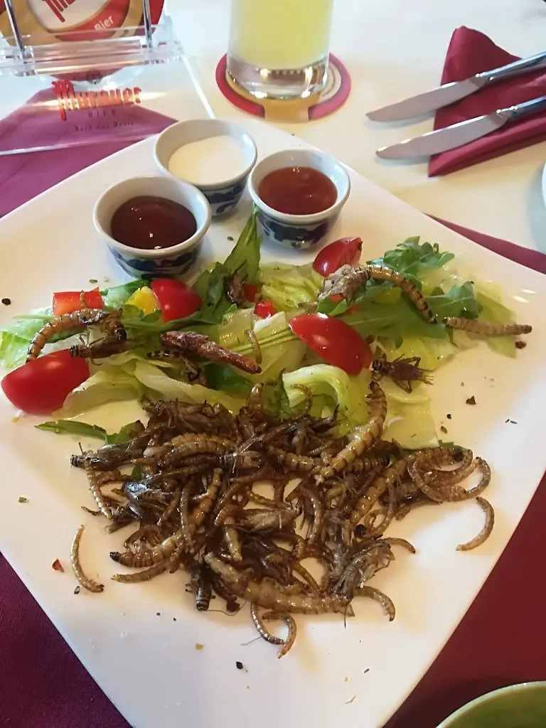 Menu_Hollers Steakhaus_Austria_immagine_7