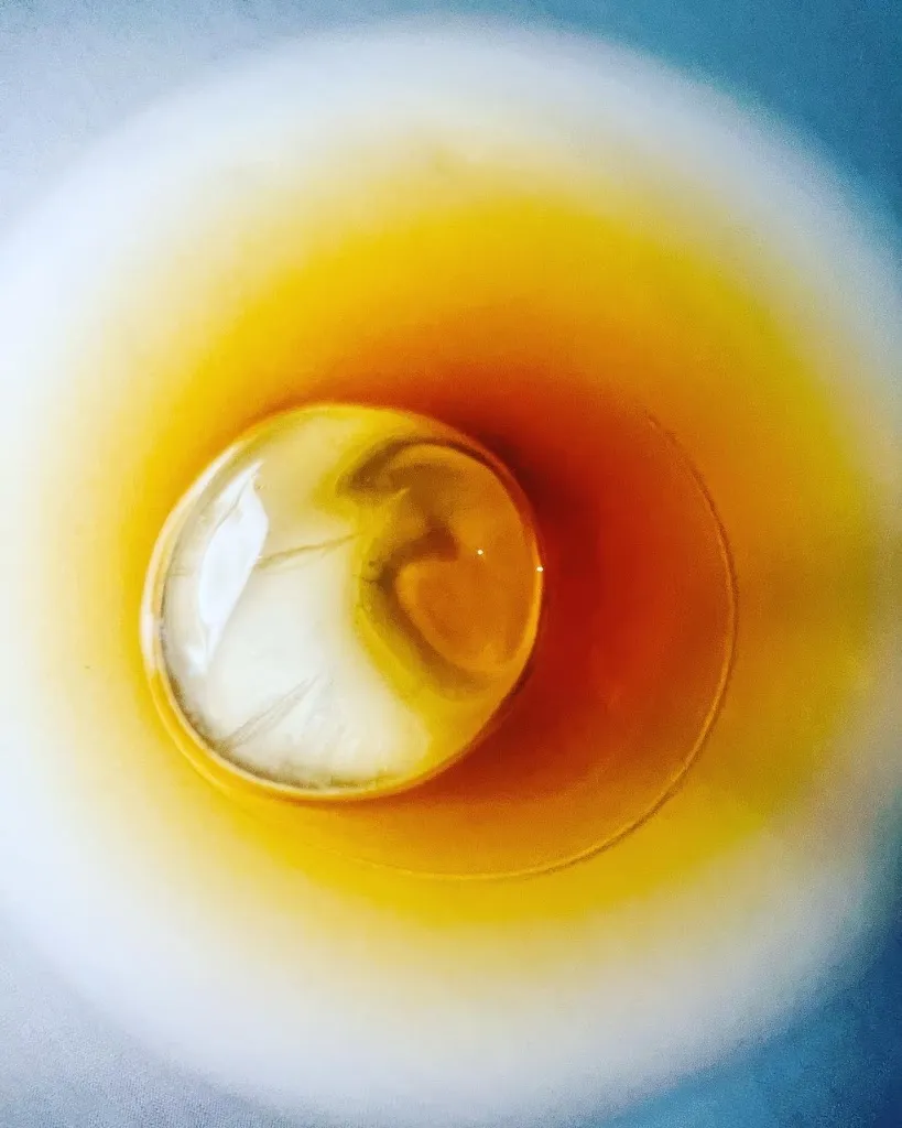 Menu_Crokus Restaurant_Kallstadt_image_6