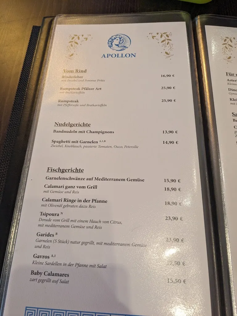 Menu_Restaurant Apollon_Kallstadt_immagine_4