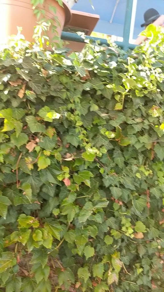 Biergarten zum Bergschlösschen_Gräfenberg_slider_image_2