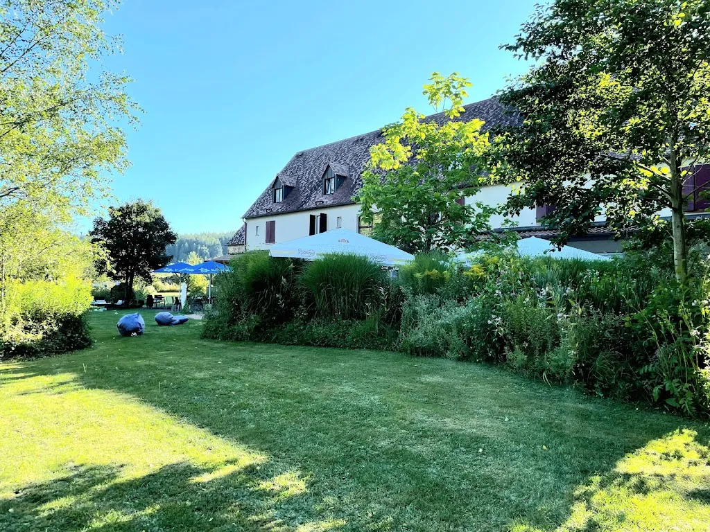 Felita_katz das restaurant_Wallhalben_review