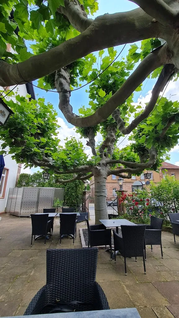 Al Platano_Kirchheimbolanden_slider_image_1