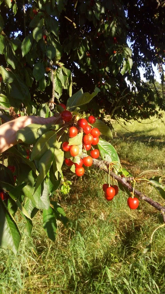 nick chase_Parkhotel Schillerhain GmbH_Kirchheimbolanden_review