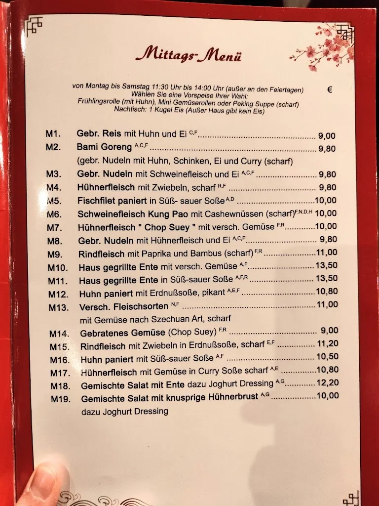 Menu_Fortune China Restaurant_Kirchheimbolanden_image_1