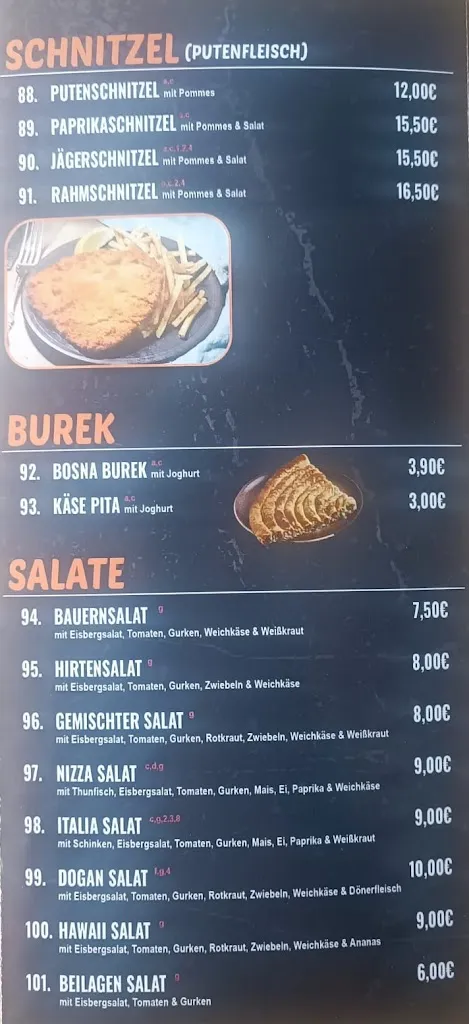 Menu_Dogan Balkanflamme_Kirchheimbolanden_image_3