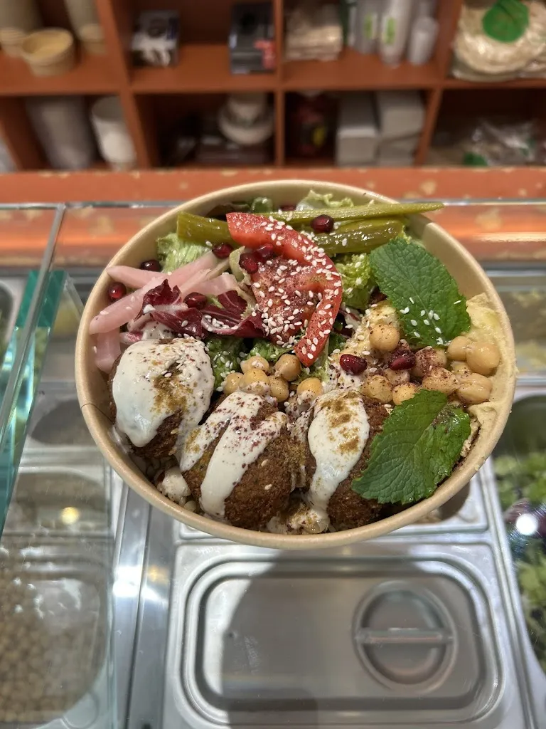 Se Loe_Mola_Pfalz_review