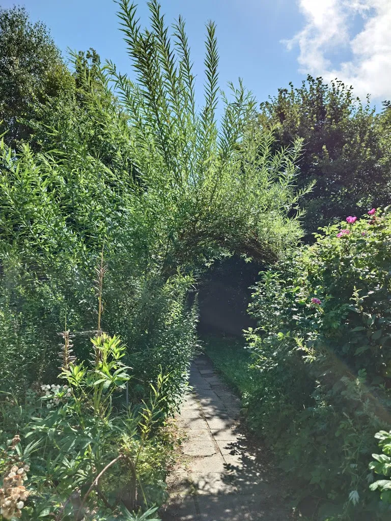 Kitsune_The Nuns' Rock Inn_Jonsdorf_review