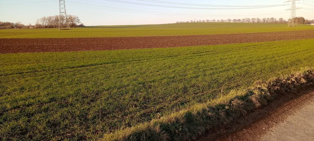 Bernadine und Heinz Hinson Gaststätte Brunnenschenke_Lonnig_slider_image_1