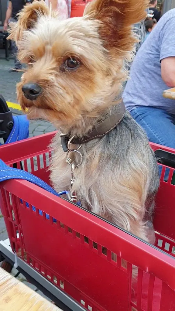 Hans im Glück Burgergrill_Koblenz_slider_image_2