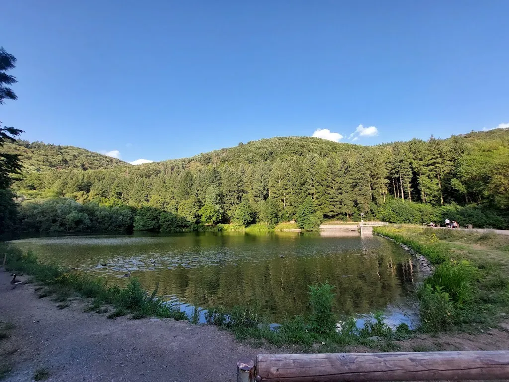 Restaurant Zum Schwanenteich_Neuwied_slider_image_3