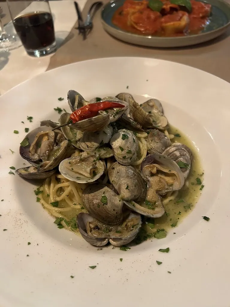 Max Köhr_Voglia_Rhein_review