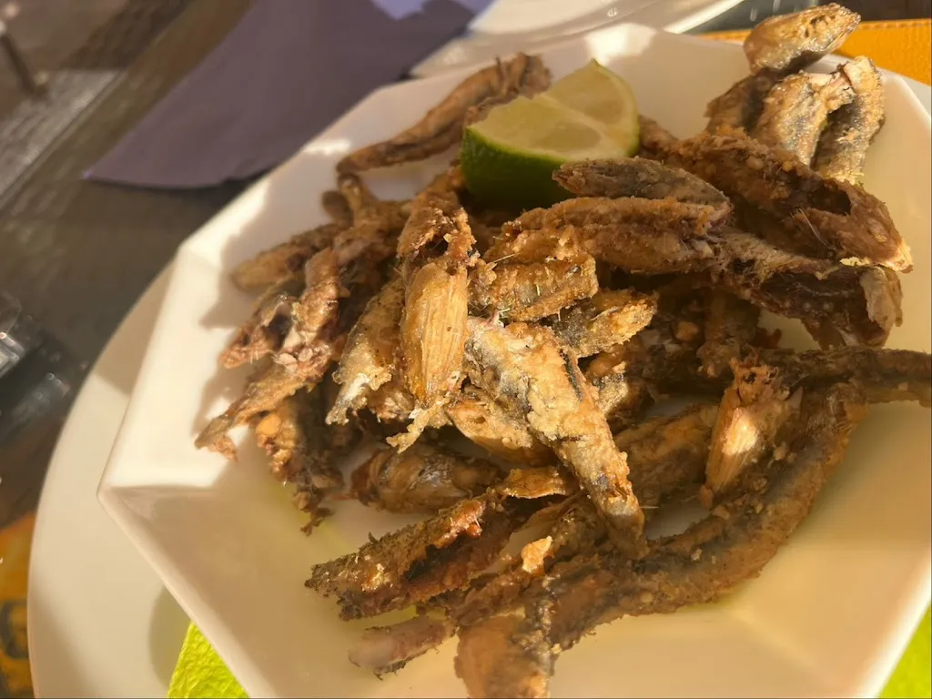 Menu_Restaurant Petri Heil_Rhein_immagine_3