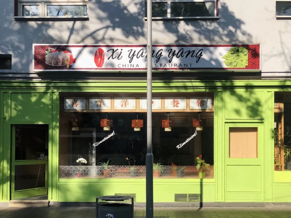 Xiyangyang Chinese Dumpling Restaurant_Rhein_slider_image_1