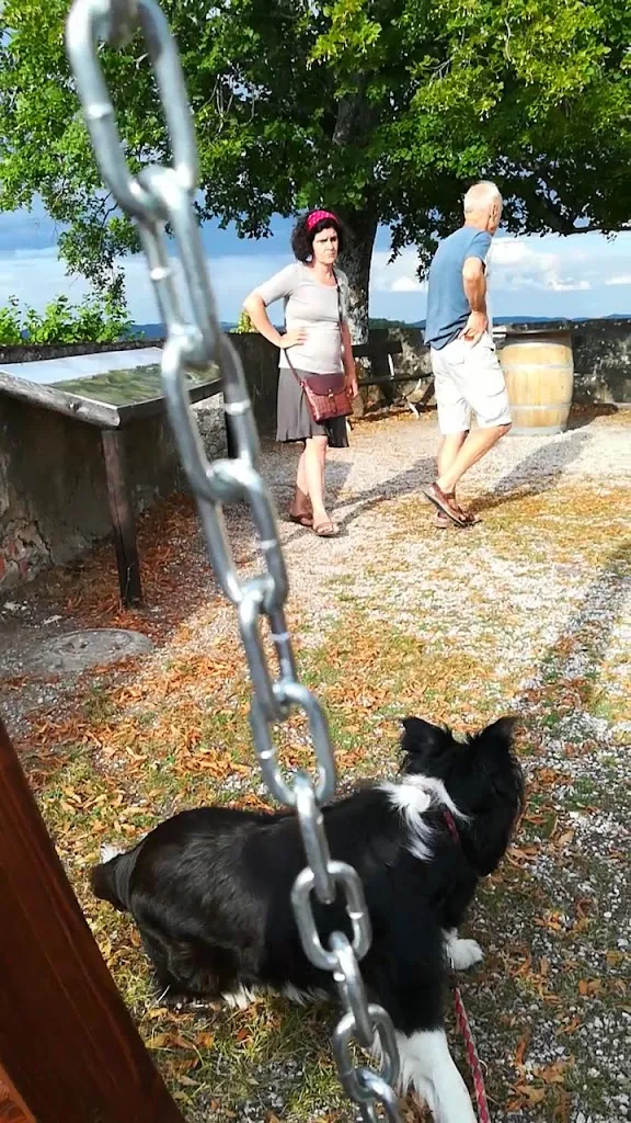 Gößweinstein Castle_Gößweinstein_slider_image_2