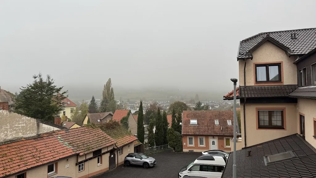 Sveta Dreimane_Pfalzhotel Asselheim_Grünstadt_recensione