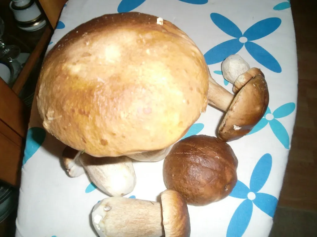 Trattoria Il Giardino_Nastätten_slider_image_3