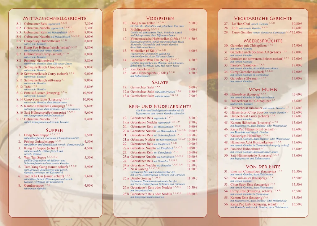 Menü_Asia Restaurant Dong Nam_Nassau_Bild_2