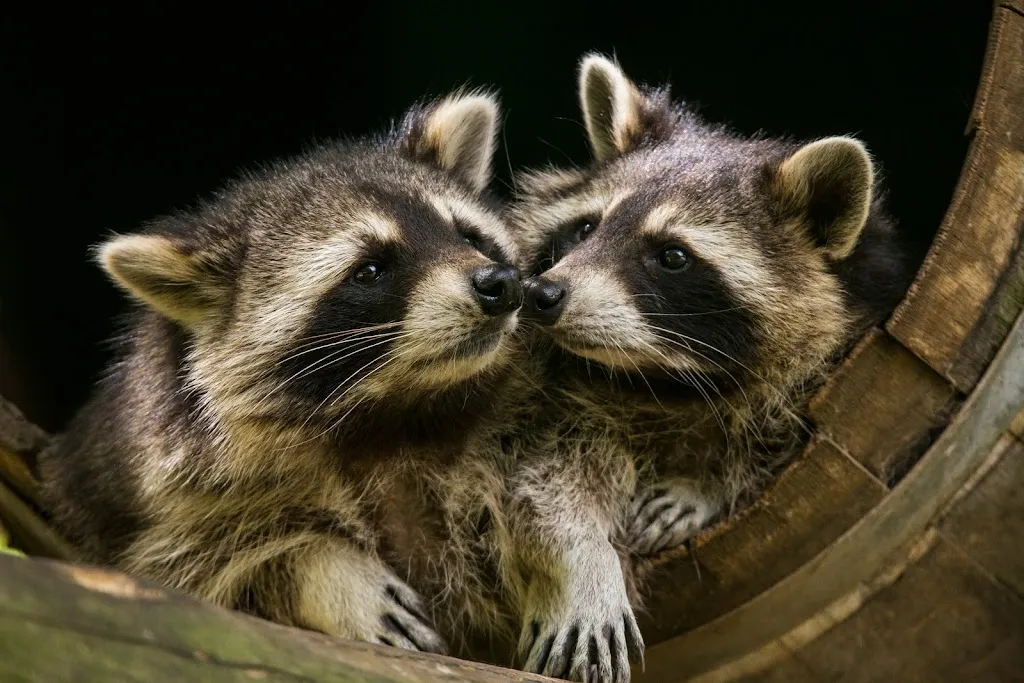 Niederfischbach e.V. Zoo_Niederfischbach_slider_image_1