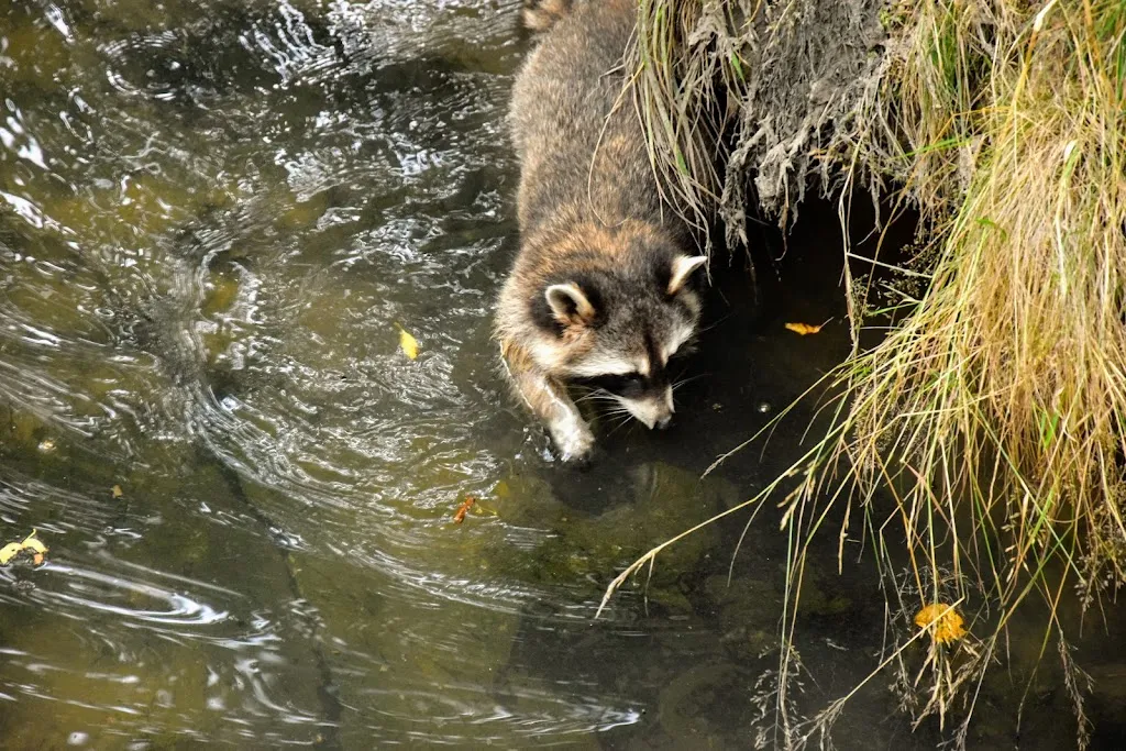 Niederfischbach e.V. Zoo_Niederfischbach_slider_image_3