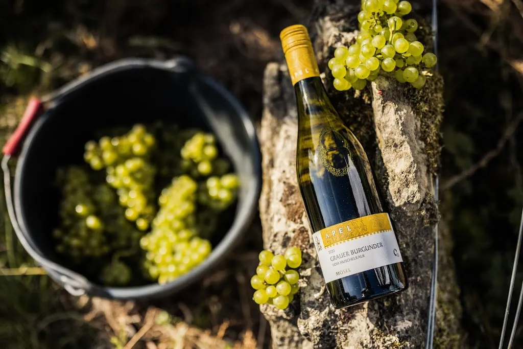 Menu_Wein- und Gästehaus Apel GmbH_Nittel_image_5